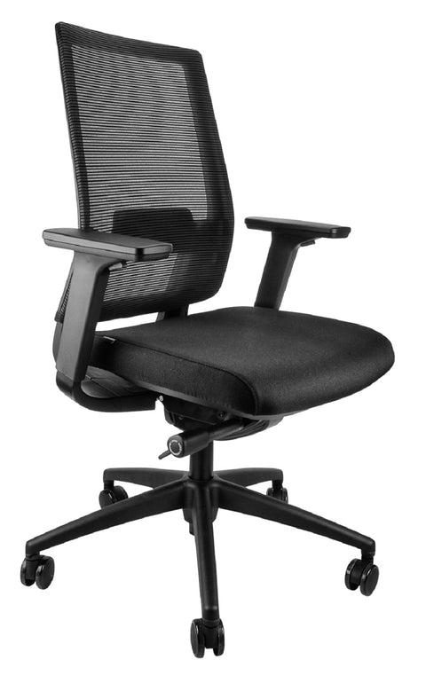 A black high-back office chair with mesh back, adjustable arms, lumbar support, and a five-star base