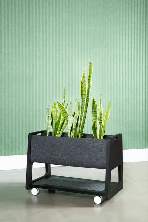 ETCH Mobile Whiteboard and Pinboard | Flexible Biophilic Furniture System for Adelaide Workplaces
