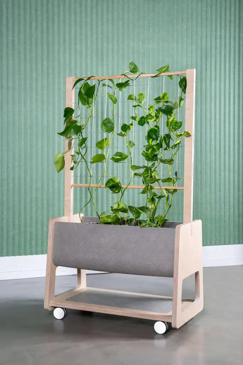 ETCH Mobile Whiteboard and Pinboard | Flexible Biophilic Furniture System for Adelaide Workplaces