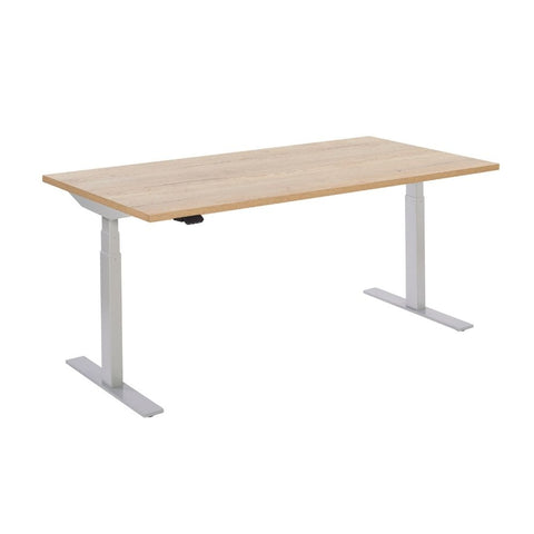 Flex Height Adjustable Workstation