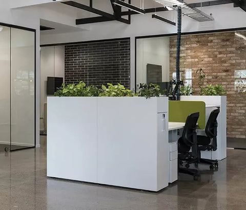 Buro ergonomic office chair with black mesh back and nylon seat in a office setup, adjustable controls, five-star base with casters