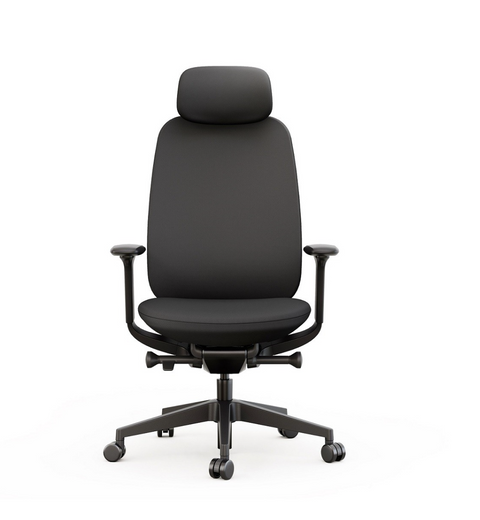 High back office chair with headrest, seat slide, and 4D adjustable arms in black color, front view