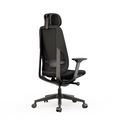 High back office chair with headrest, seat slide, and 4D adjustable arms in black color, back view