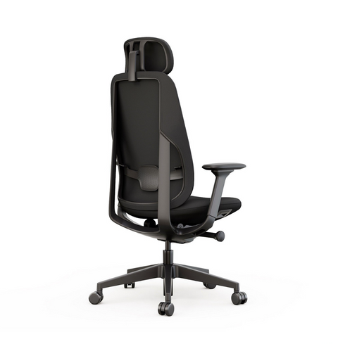High back office chair with headrest, seat slide, and 4D adjustable arms in black color, back view