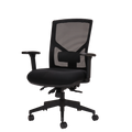 A black mesh high back office chair with a black fabric seat, adjustable arms and a 5 star spider base on castors.