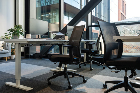 Buro Mantra | Mesh Back Task Chair