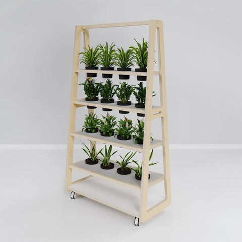 Etch planter in birch plywood holding rows of potted plants, adding greenery and natural office design