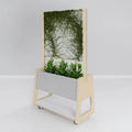 Etch unit configured as a planter in birch plywood, bringing biophilic design and greenery into the workplace