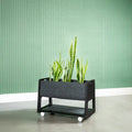 Etch planter in birch plywood holding potted plants, adding greenery and natural design to office spaces