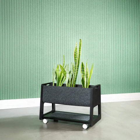 Etch planter in birch plywood holding potted plants, adding greenery and natural design to office spaces