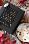 Willow Evie Prosecco Rose Candle