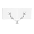 Vader Dual Monitor Arm with empty VESA plate for monitor attachment